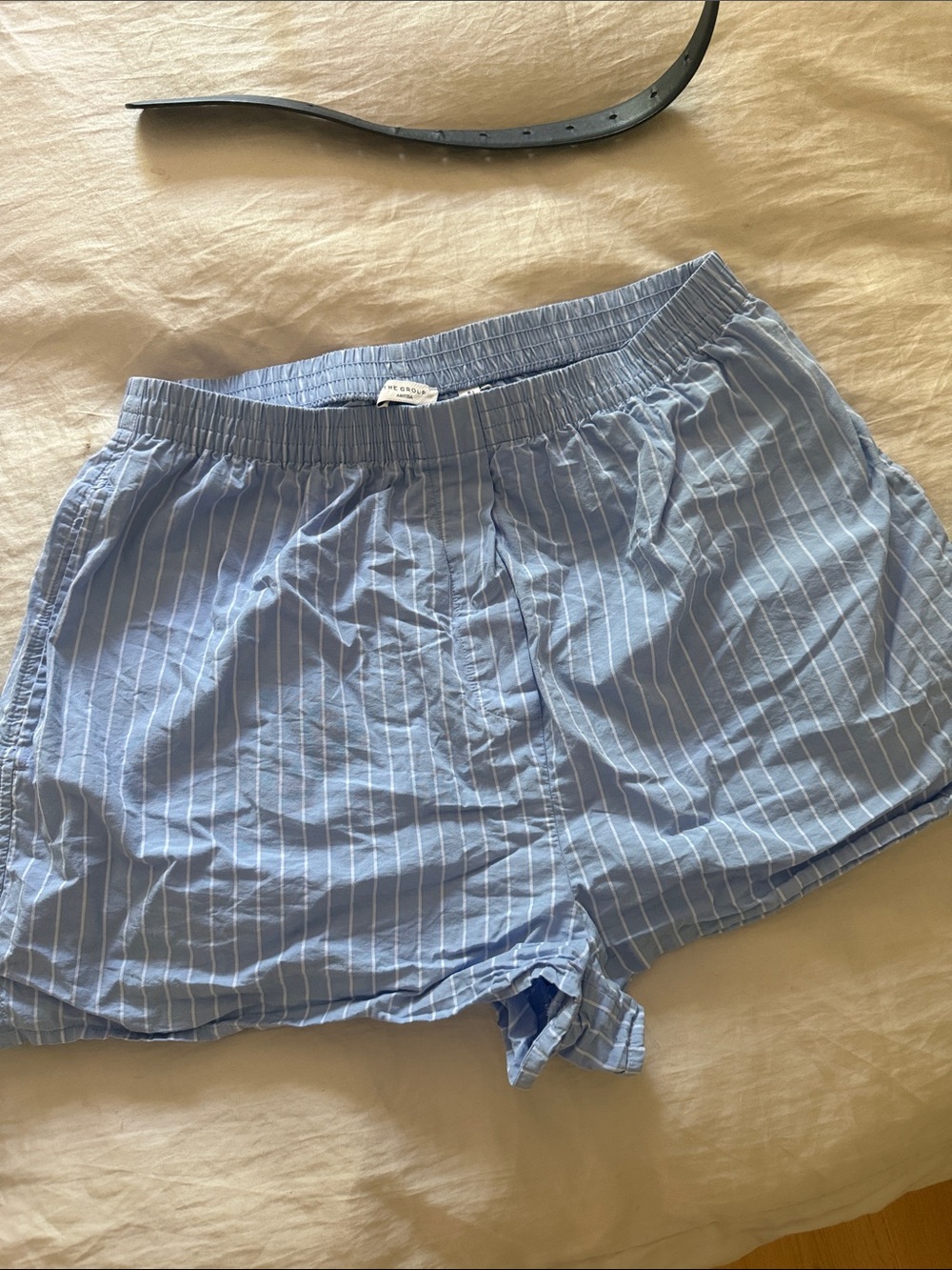 Aritzia Light Blue Pinstripe Cotton Boxer Shorts